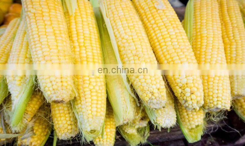 Automatic feeding fresh corn peeling sweet maize thresher machine