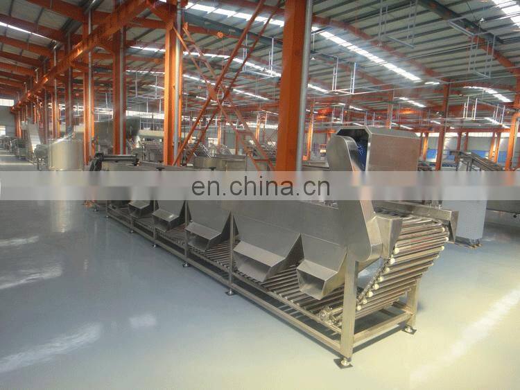 Multi-function Apple Potato tomato round vegetable GJFJ500 orbital type date sorting Sorter machine
