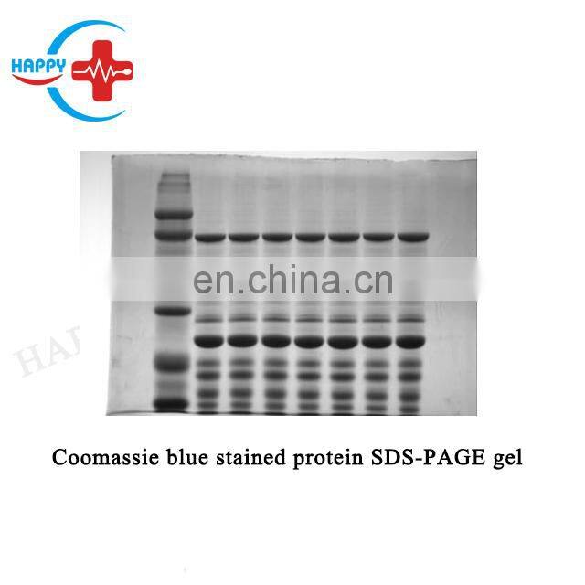 HC-B025A Hot sell Fully Automatic Gel Documentation System with Touch Screen/Integrated Gel Imaging System with Embedded PC