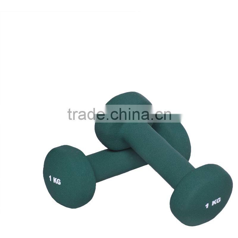 Vinyl Dipping Dumbbell & Barbell Set