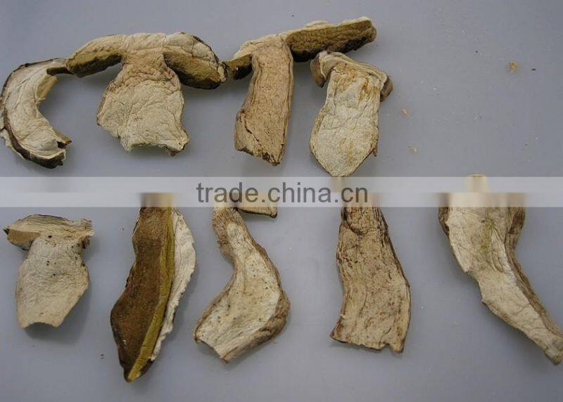 High quality boletus magic dried mushroom slices from yunnan