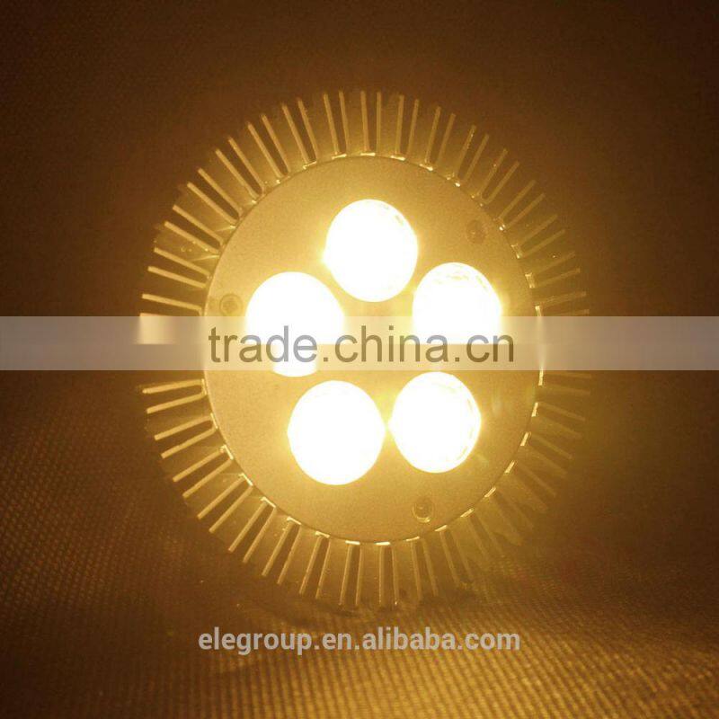 Factory price!High power PAR30 led bulb light