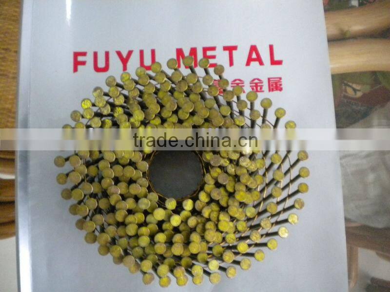coil nails