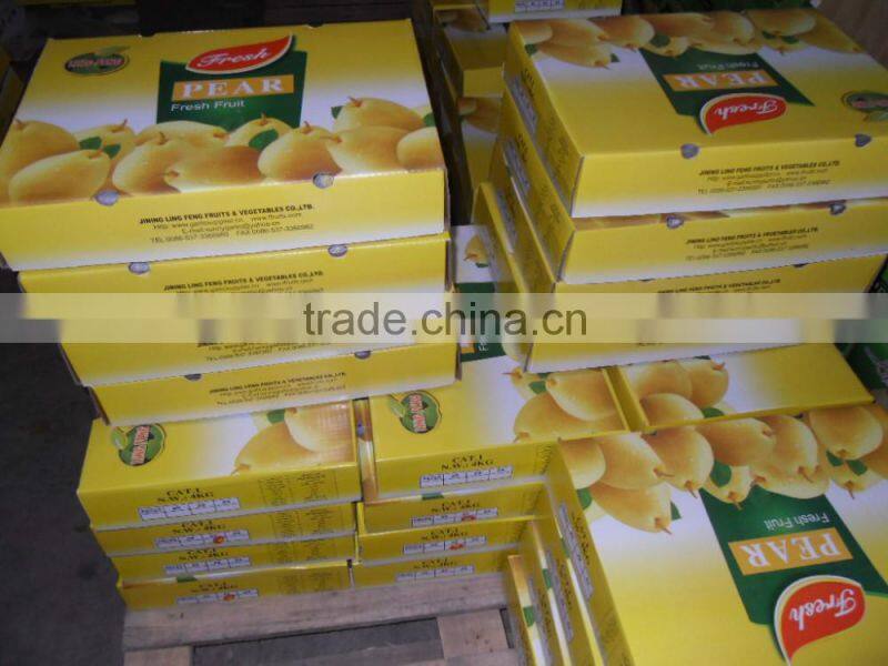 2015 new crop Chinese fresh Ya pear for export