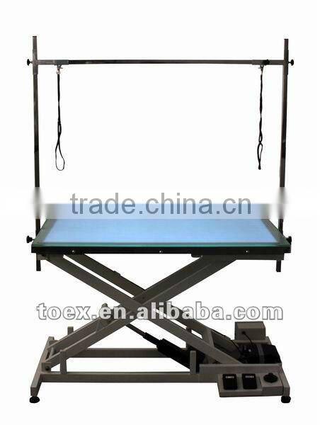 Electric Pet Operation Table Grooming Table with Light FT-829