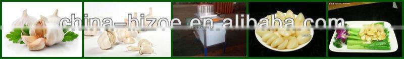 Dry way garlic beating machine