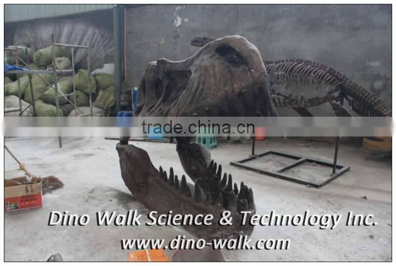 Museum quality T rex dinosaur head fossil