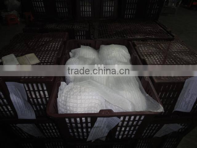 Fresh white cauliflower