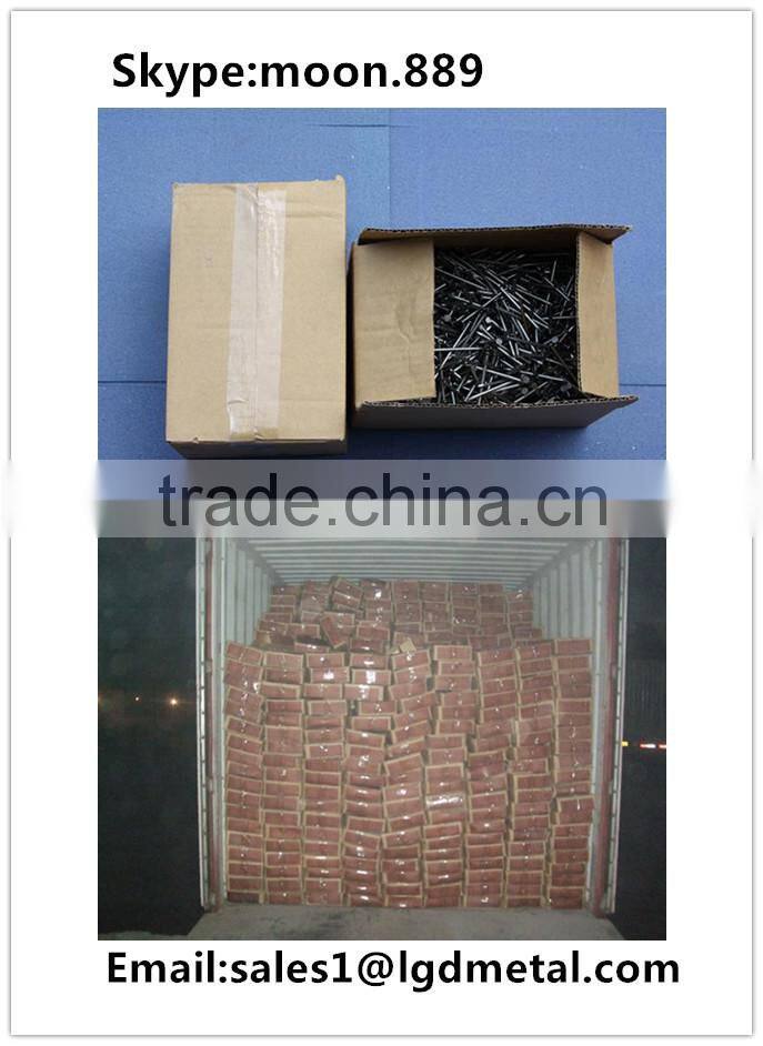 Good manufacturer of common nail/best price for nails