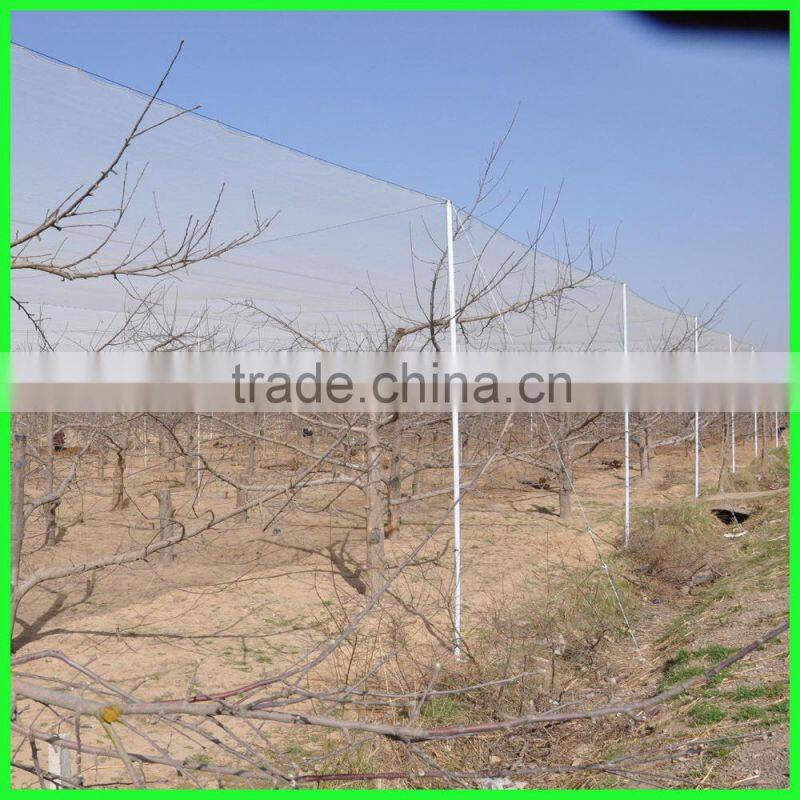 100% HDPE monofilament knitted anti hail mesh bird trap net