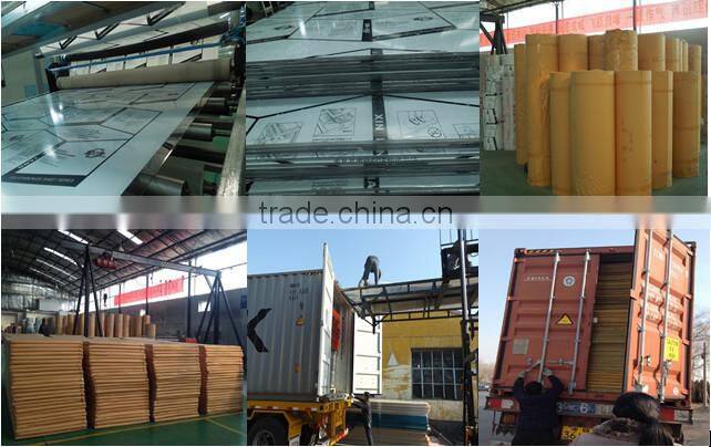 New design heat proof & sound insulation polycarbonate(pc) roofing panel