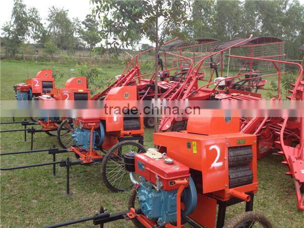 Farm small machinery leaf cutter mini sugarcane leaf remove 6BZ-5 new sugarcane leaf removing machine