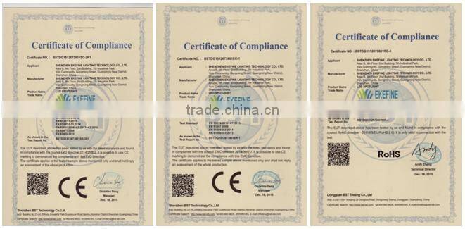 IP44 Rating High Lumens COB Chip 30W AR111 LED Spot Light Fixture