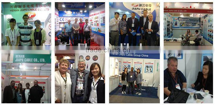 Hot Seller 300/500V PVC Insulated Wire With Reasonable Price