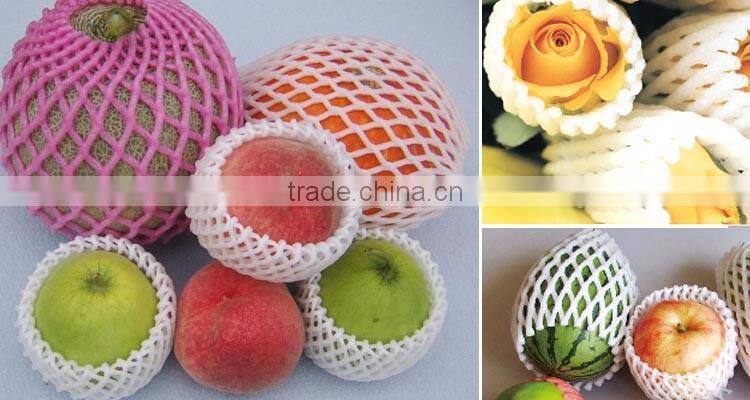 epe foam fruit net extrusion machine