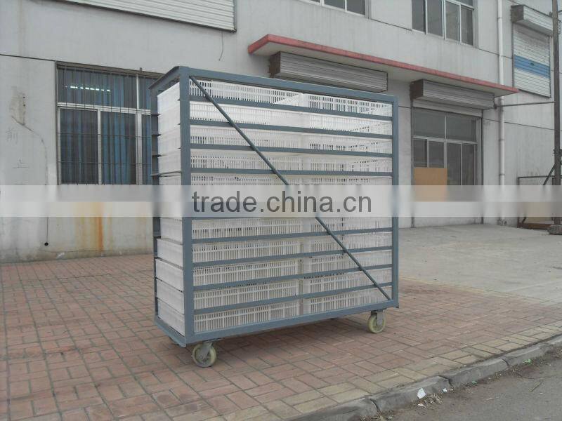 3 years Warranty egg incubator in dubai 008613673685830