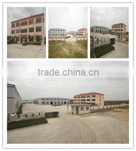 China Newest latest high quality steel scaffolding access ladder