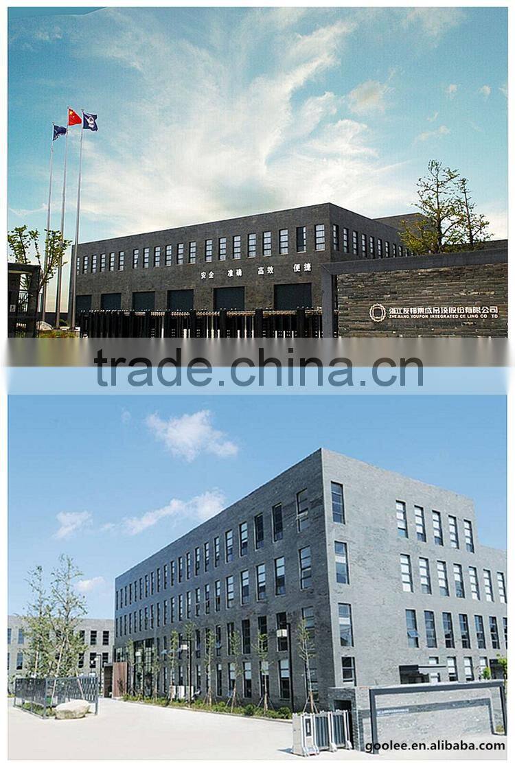 European style building materials bathroom ceiling tiles for modern house