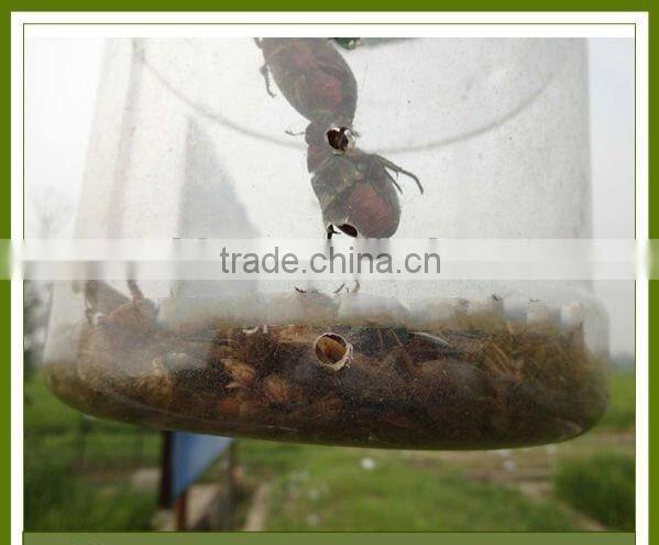 orchard solar insect killing lamp with long using time