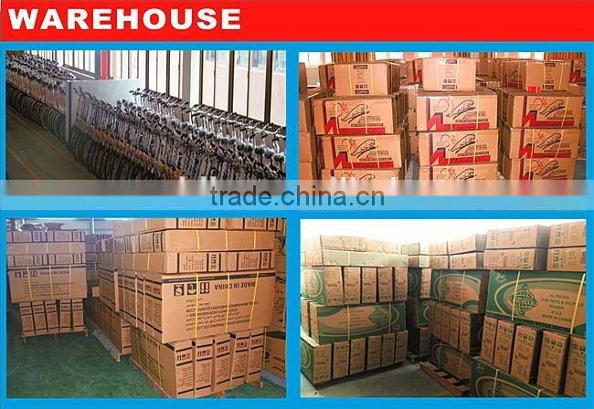 FATION 20" 6speed folding bike/floding bicycle/special bike