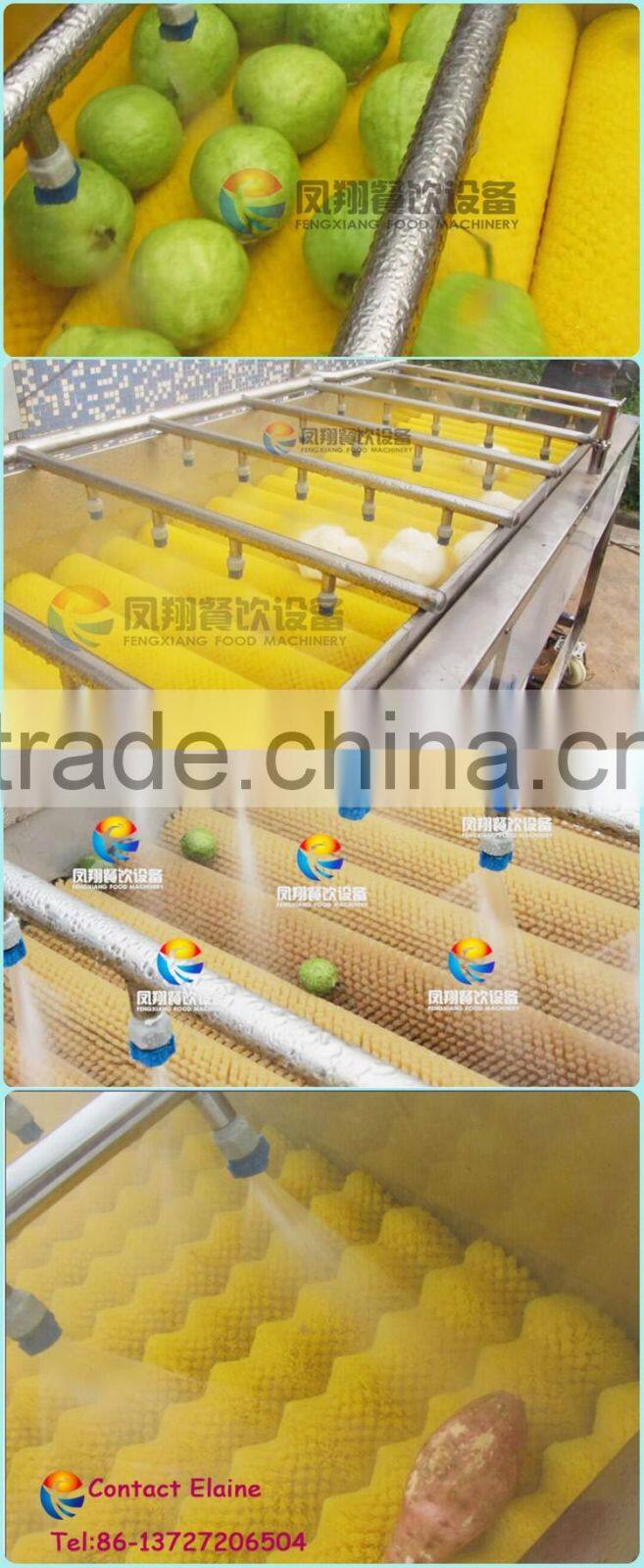 China Industrial Automatic Orange and Citrus Washing Machine