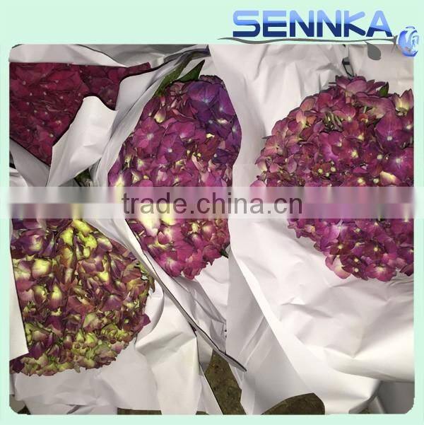 Wholesale China Merchandise artificial hydrangea fresh cut flower ball for decoration