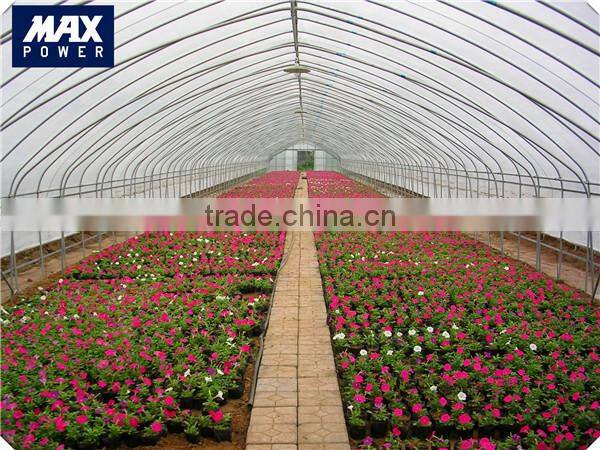 greenhouse the cheapest wiggle wire