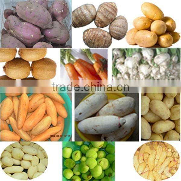 Vegetable washer electric potato peeler