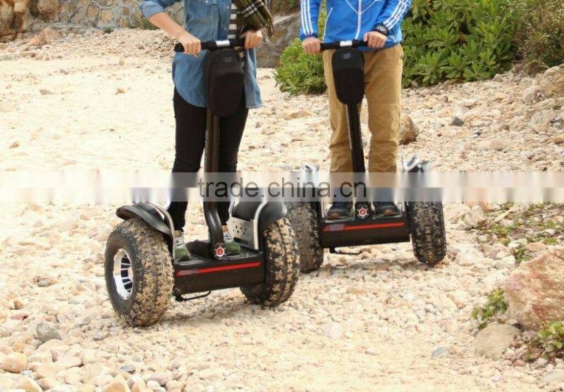 Electric Sport Scooter