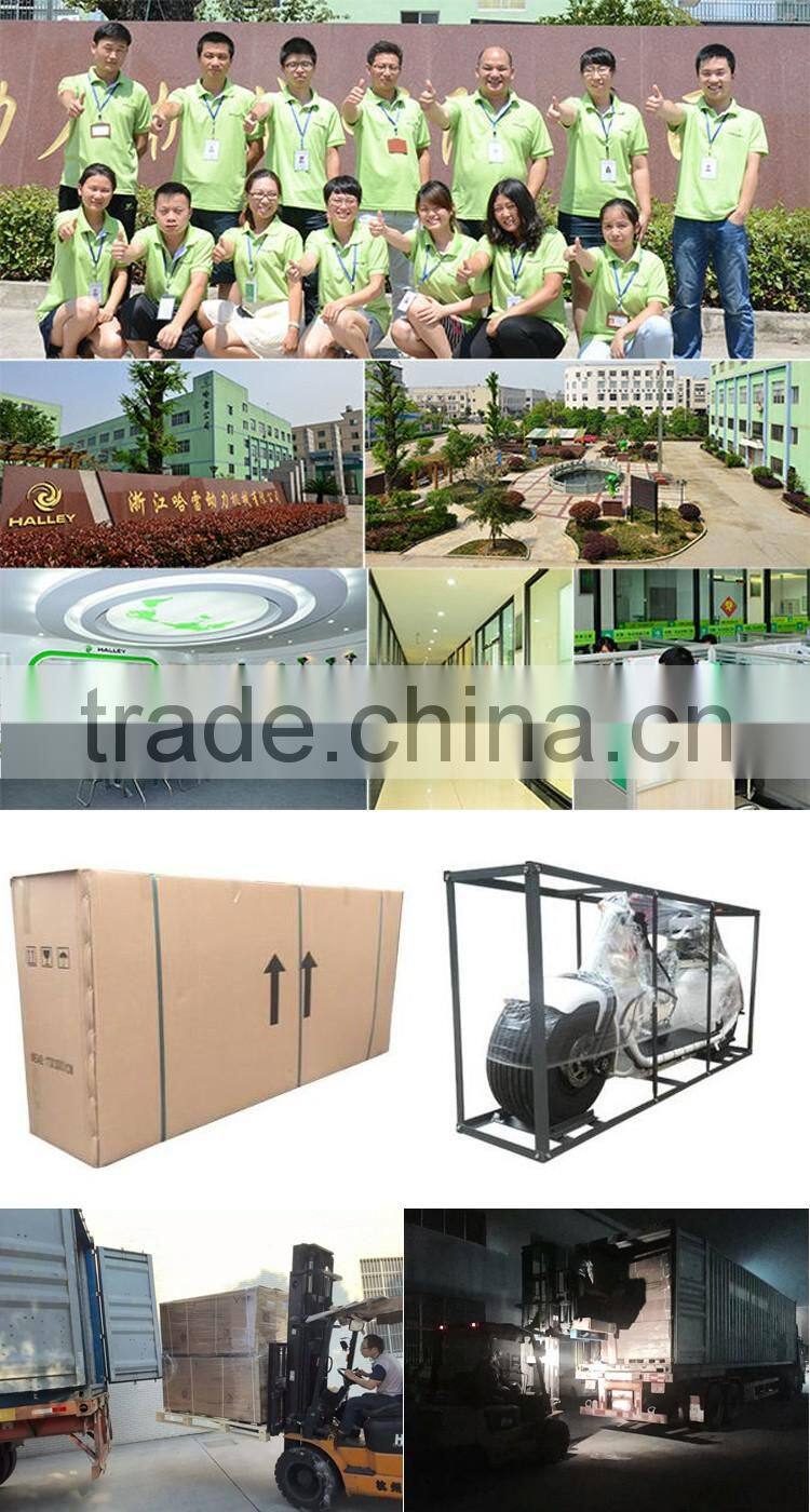 60V 12AH 1000 Watt Urban Electric Scooter Halley Mobility Scooter