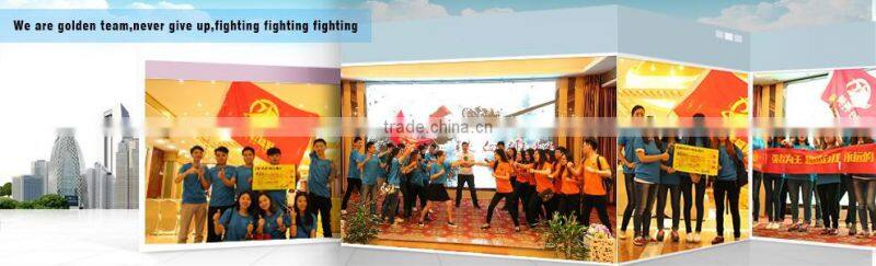 RONC DVD-R 4.7G 16X Print On White Brand Free Samples