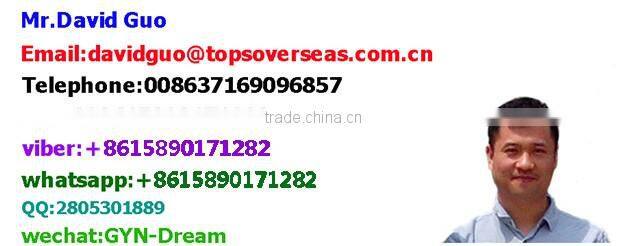 Luxury Baby Princess Horse Pumpkin Wedding Cinderella Carriage