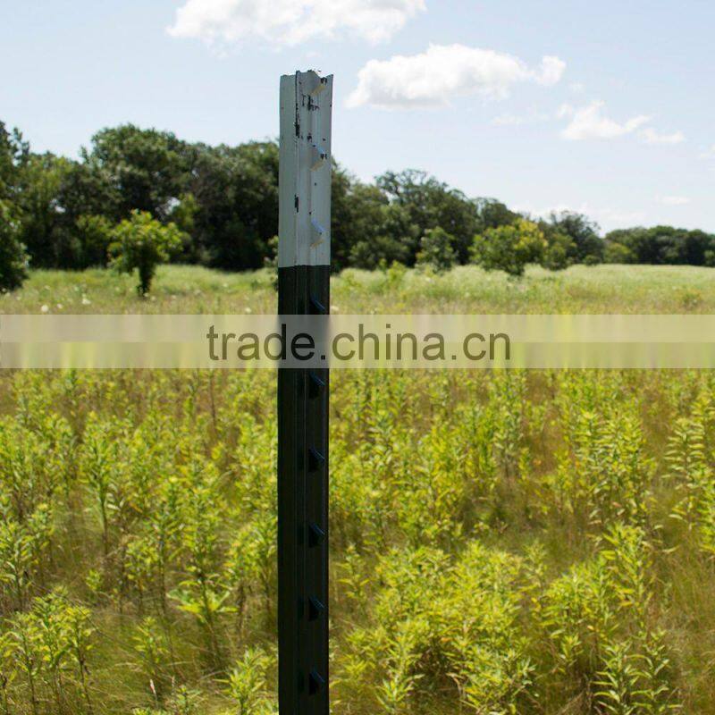Cheap Galvanized Used Steel Fence T Post For Sale(Factory)