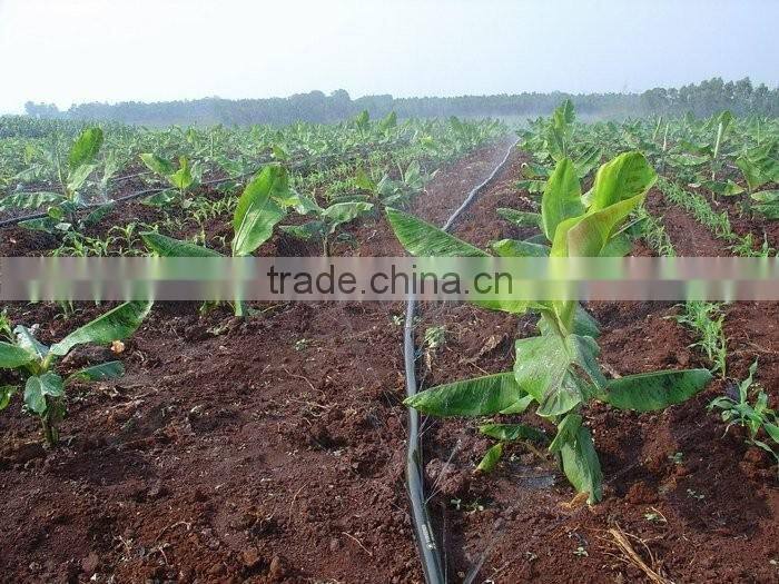 Good quality PE agricultural irrigation hose drip micro rain spray tape water