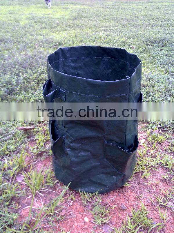Popular PE Strawberry Planter Bag,Grow Bag