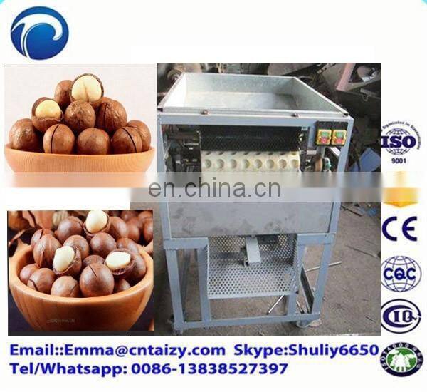 hazelnut tapping machine easy operate pistachio nuts opening machine Macadamia nut opening machine
