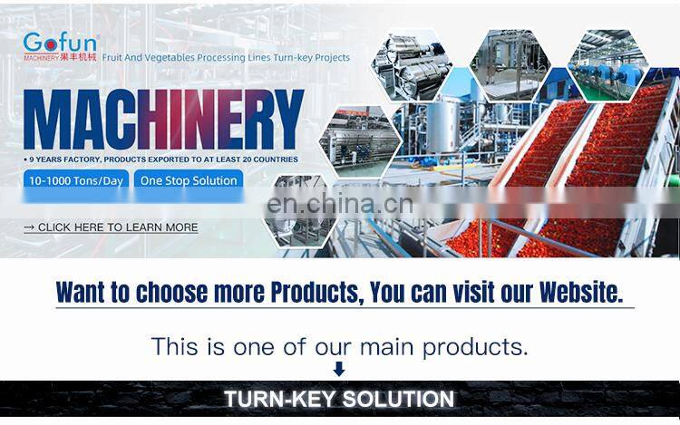 Commercial tomato apple peach screw press fruit juicer extractor machine