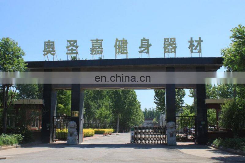 ASJ-Z9603 Shoulder Press fitness equipment machine commercial gym equipment