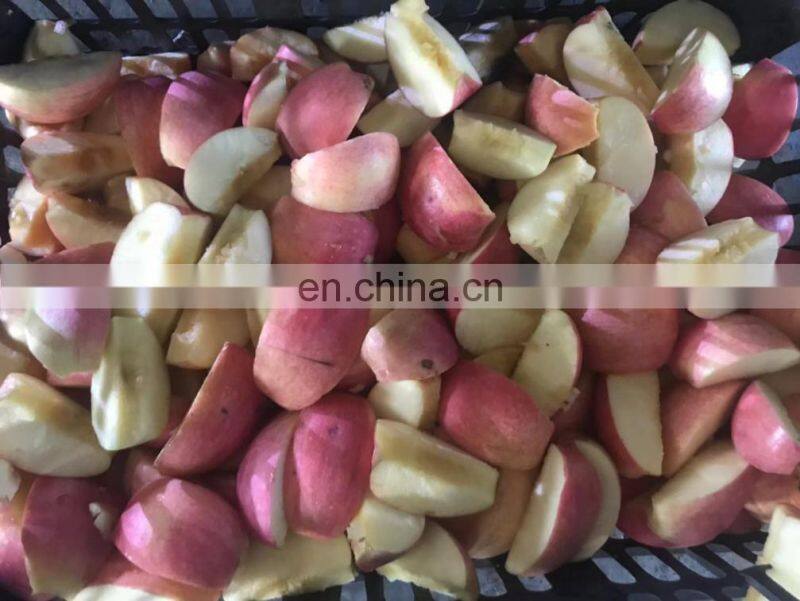 Apple Peach Core Remove Machine/Fruit Pitting Machine Cherry Corer