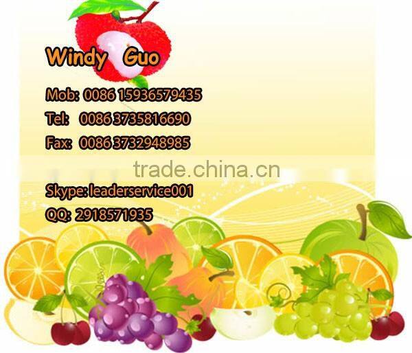 Leader high quality grape crusher machine