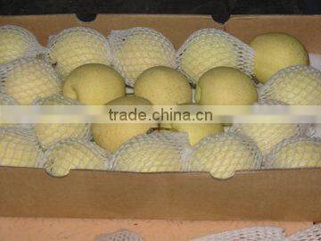 chinese fresh ya pear