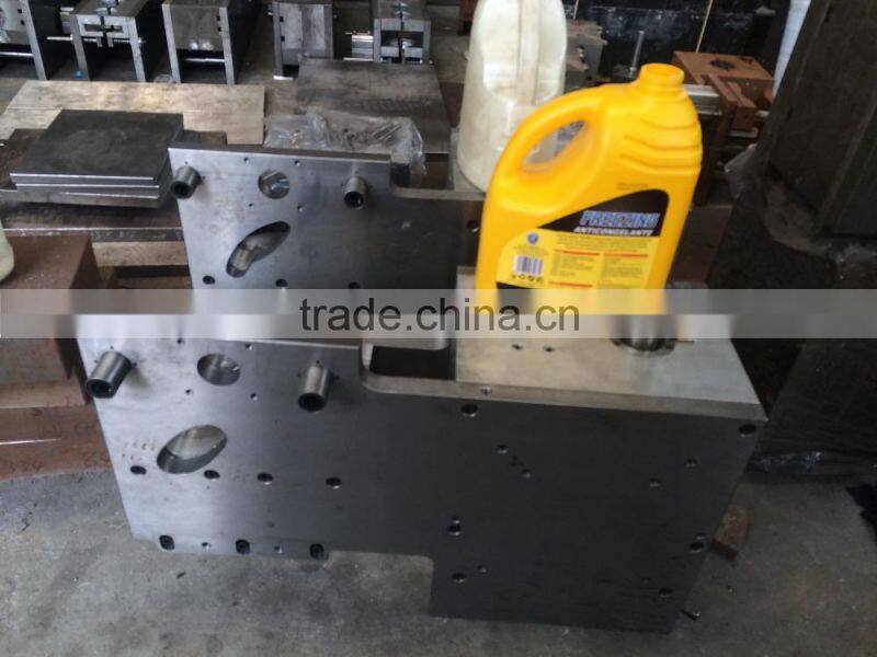 Professional HDPE small bottle blow mold