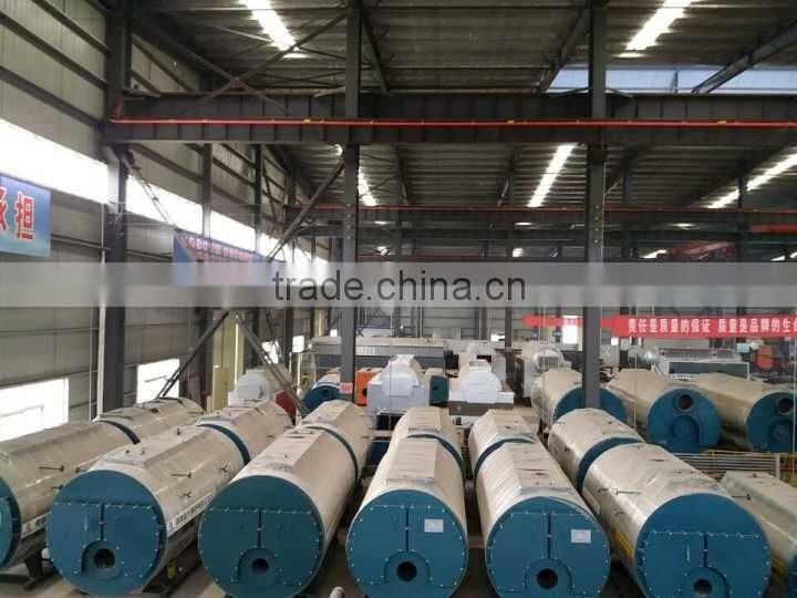 2-3ton natural gas fired steam boiler for food dehydration/food project