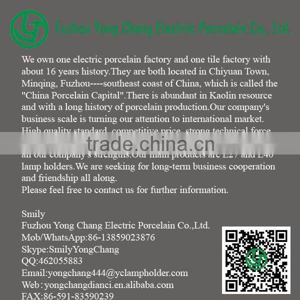 GZ10 Lamp Holder ,halogen lamp holder,ceramic lamp holder