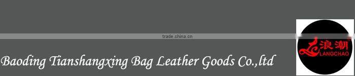 Men Elegant Euramerican ABS Trolley Luggage PC Suitcase