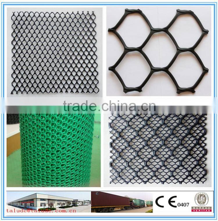 HDPE plastic net(geonet) Ce121 CE131 CE151 CE161 CE163 CE181