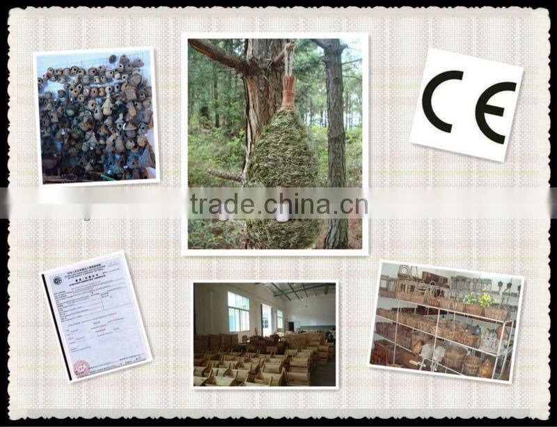 natural pine roosting pocket