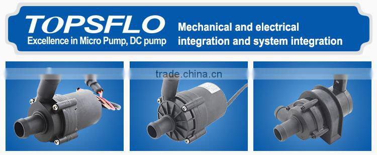 12v 24v dc brushless circulating auto garden pump
