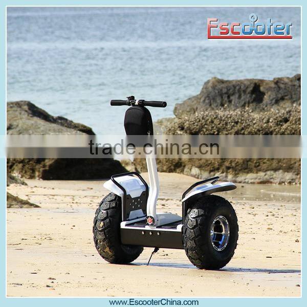 19 Inch Shock-Absorb Hire Pride Mobility Scooter: Rascal and Fast with 20 Km Per Hour