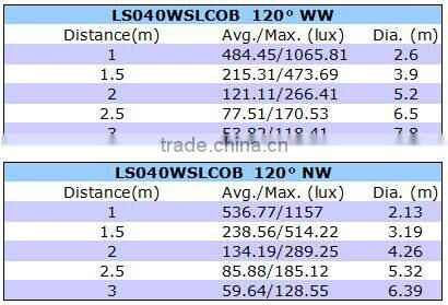 40W Customize rectangle COB 45 degree rotated shop downlight